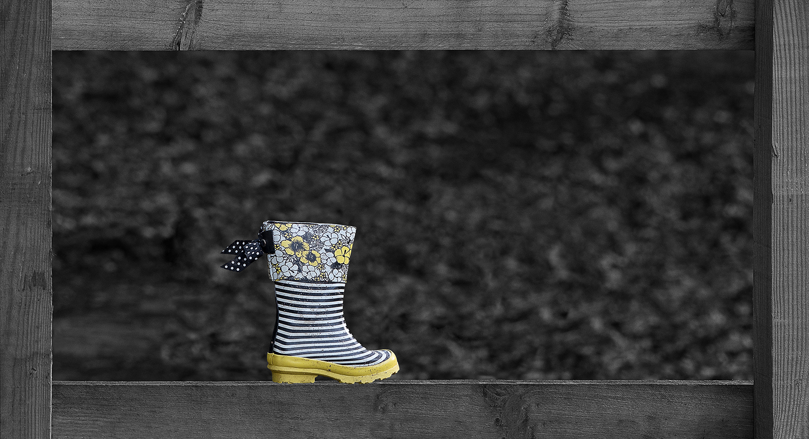 Lost Boot - John Laverock
